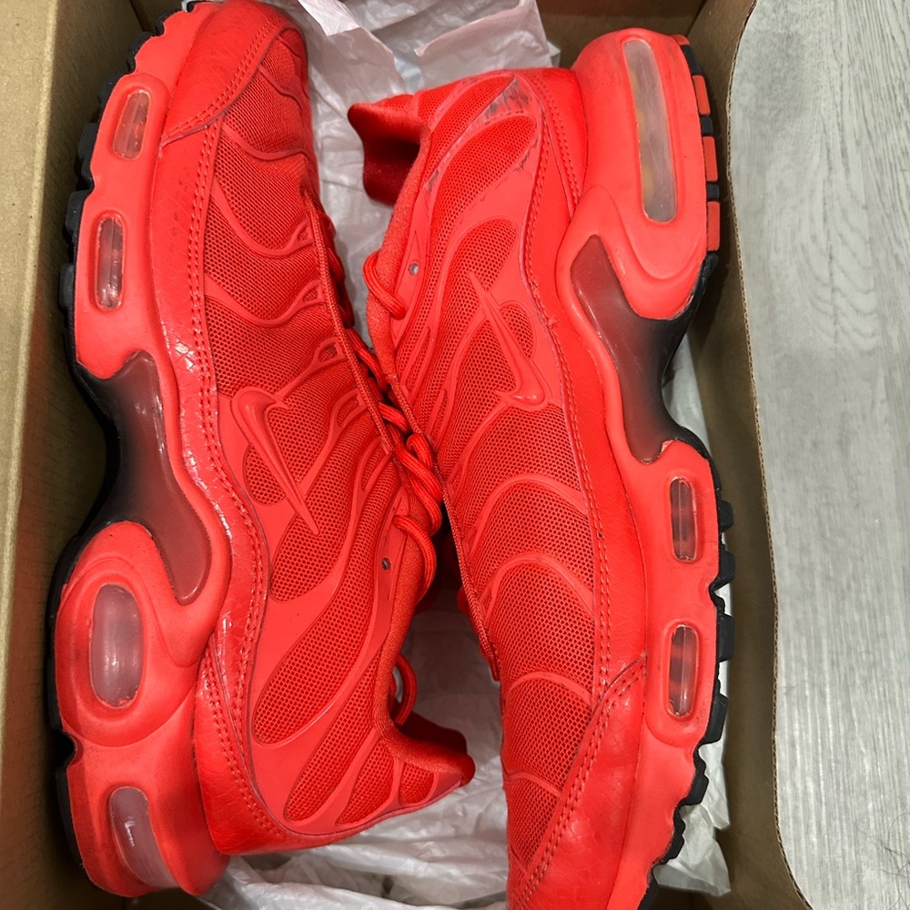 Nike air max plus SE